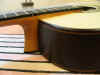 Elevated fretboard.jpg (72545 bytes)